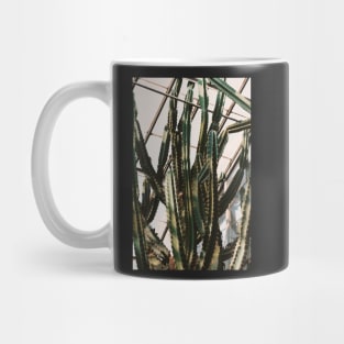 Greenhouse Cactus Mug